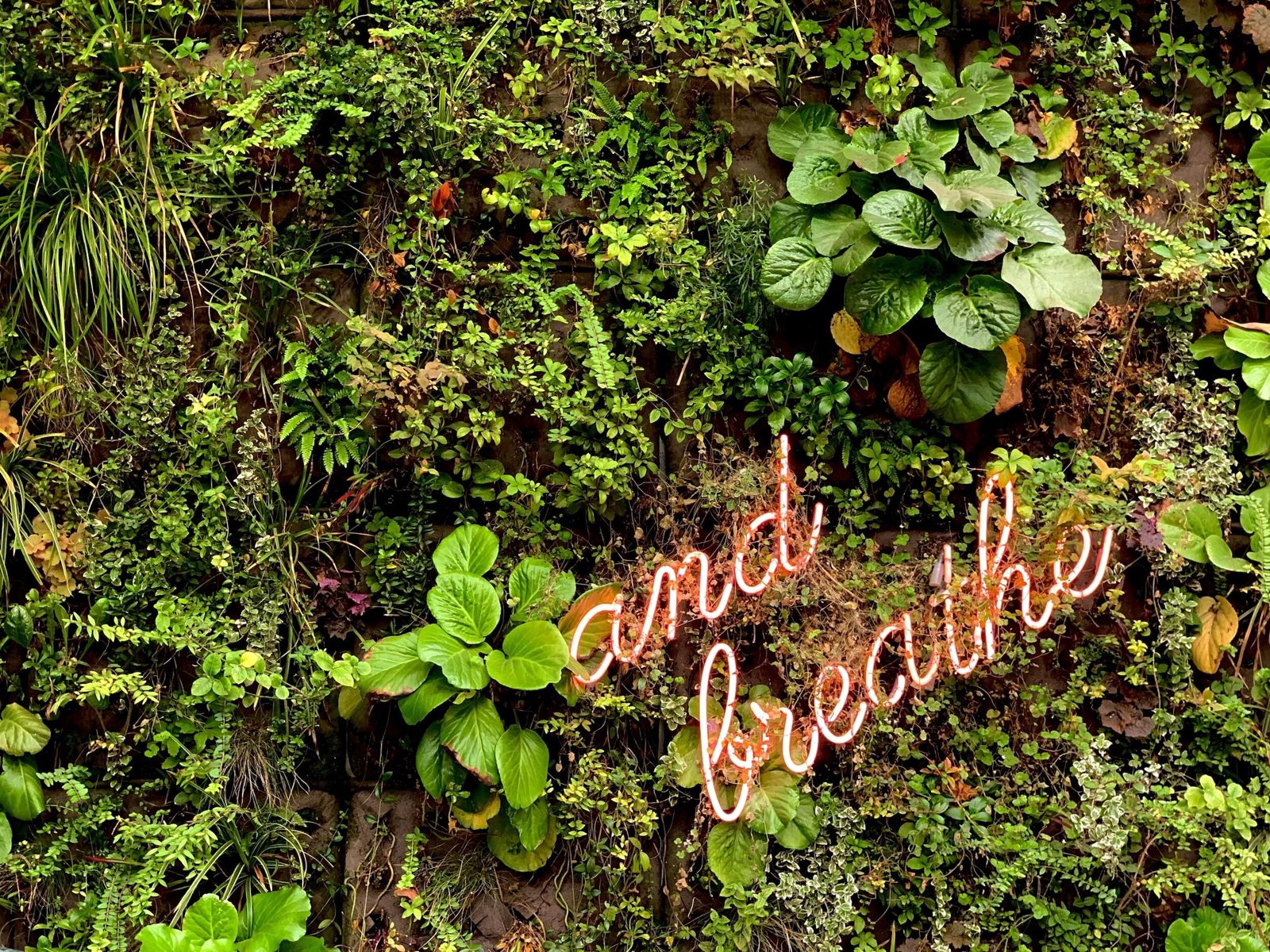 Living plant wall with a neon sign reading "and breathe"